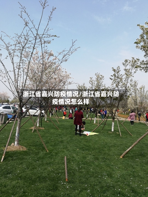 浙江省嘉兴防疫情况/浙江省嘉兴防疫情况怎么样-第1张图片