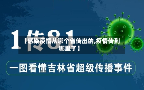 【感染疫情从哪个省传出的,疫情传到哪里了】-第2张图片