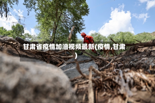 甘肃省疫情加油视频最新(疫情,甘肃)-第2张图片