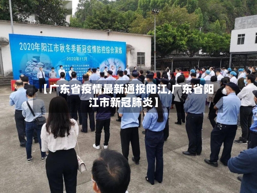 【广东省疫情最新通报阳江,广东省阳江市新冠肺炎】-第3张图片