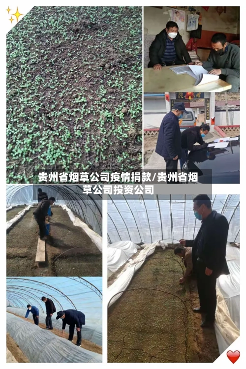 贵州省烟草公司疫情捐款/贵州省烟草公司投资公司-第1张图片
