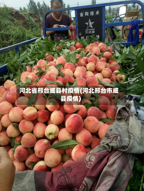 河北省邢台威县村疫情(河北邢台市威县疫情)-第2张图片