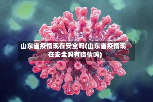 山东省疫情现在安全吗(山东省疫情现在安全吗有疫情吗)-第1张图片