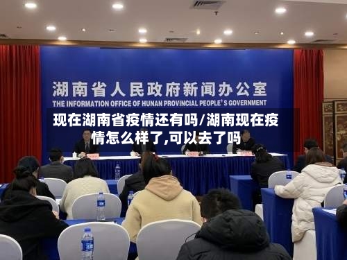 现在湖南省疫情还有吗/湖南现在疫情怎么样了,可以去了吗-第1张图片