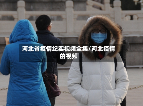 河北省疫情纪实视频全集/河北疫情的视频-第1张图片