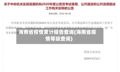 海南省疫情累计报告查询(海南省疫情等级查询)-第2张图片