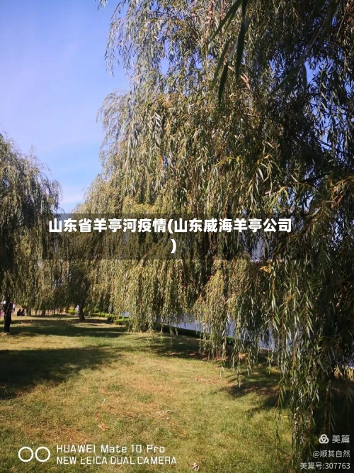山东省羊亭河疫情(山东威海羊亭公司)-第3张图片