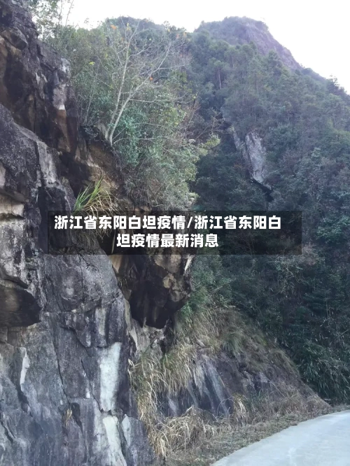 浙江省东阳白坦疫情/浙江省东阳白坦疫情最新消息-第2张图片