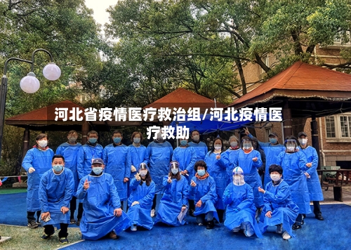 河北省疫情医疗救治组/河北疫情医疗救助-第3张图片