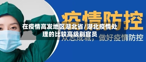 在疫情高发地区湖北省/湖北疫情处理的比较高级别官员-第1张图片