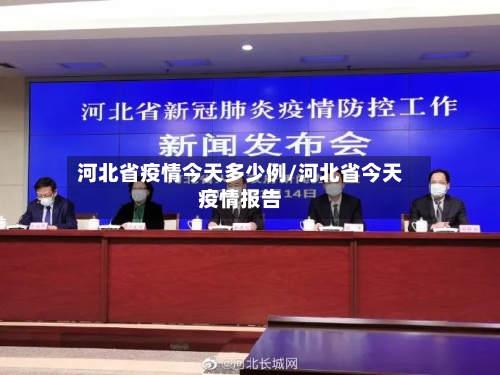 河北省疫情今天多少例/河北省今天疫情报告-第3张图片