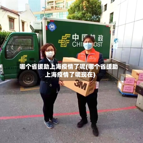 哪个省援助上海疫情了呢(哪个省援助上海疫情了呢现在)-第2张图片