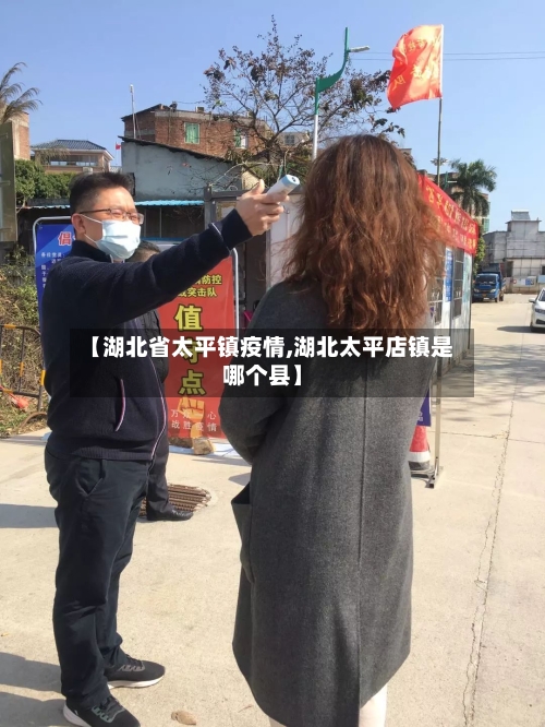 【湖北省太平镇疫情,湖北太平店镇是哪个县】-第2张图片