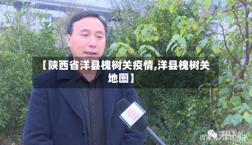 【陕西省洋县槐树关疫情,洋县槐树关地图】-第1张图片