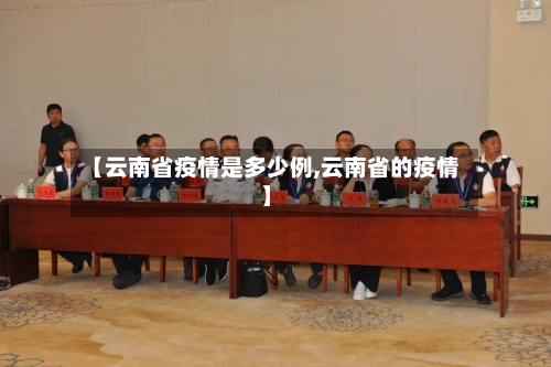【云南省疫情是多少例,云南省的疫情】-第3张图片