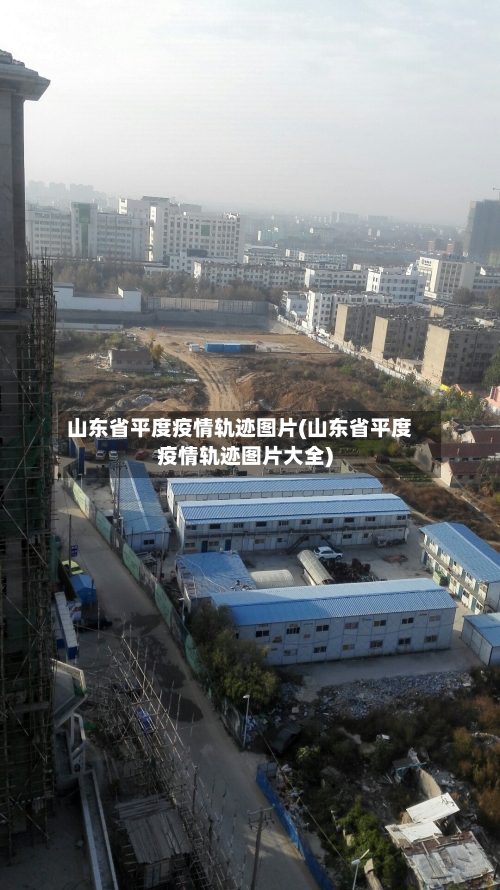 山东省平度疫情轨迹图片(山东省平度疫情轨迹图片大全)-第2张图片