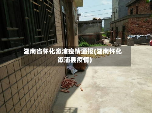 湖南省怀化溆浦疫情通报(湖南怀化溆浦县疫情)-第3张图片