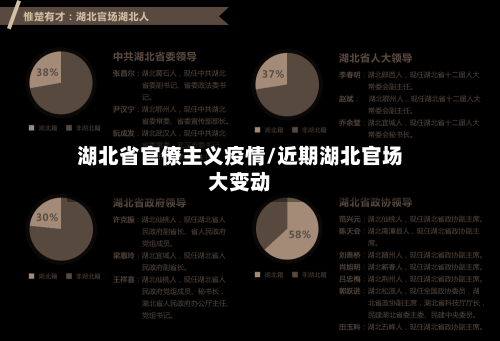 湖北省官僚主义疫情/近期湖北官场大变动-第3张图片