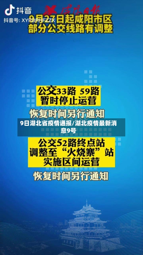 9日湖北省疫情通报/湖北疫情最新消息9号-第3张图片