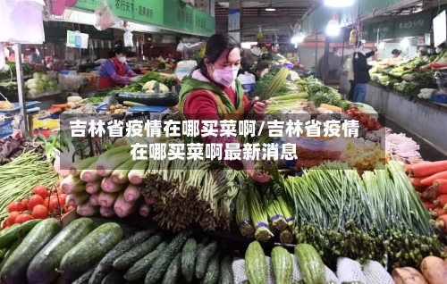 吉林省疫情在哪买菜啊/吉林省疫情在哪买菜啊最新消息-第3张图片