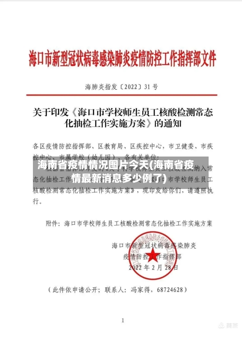 海南省疫情情况图片今天(海南省疫情最新消息多少例了)-第1张图片