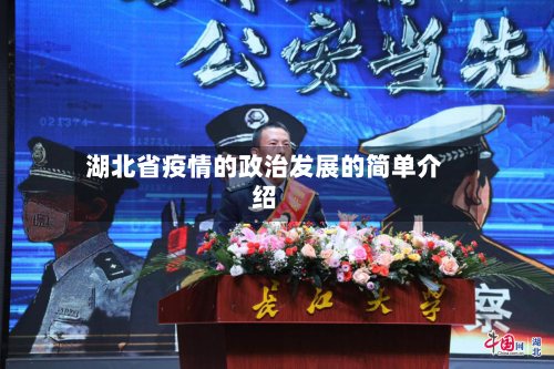 湖北省疫情的政治发展的简单介绍-第1张图片