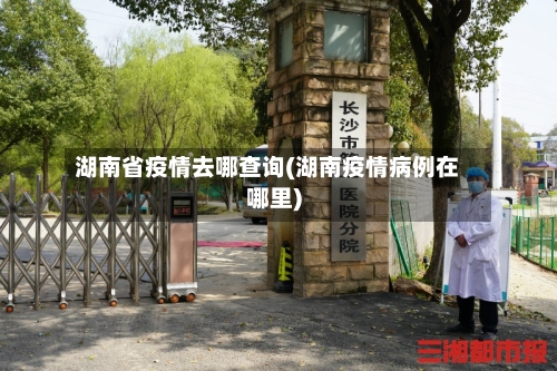 湖南省疫情去哪查询(湖南疫情病例在哪里)-第2张图片