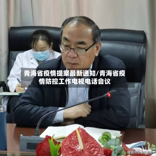 青海省疫情提案最新通知/青海省疫情防控工作电视电话会议-第2张图片