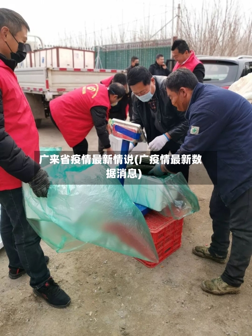 广来省疫情最新情说(广疫情最新数据消息)-第2张图片