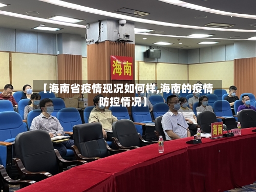 【海南省疫情现况如何样,海南的疫情防控情况】-第2张图片