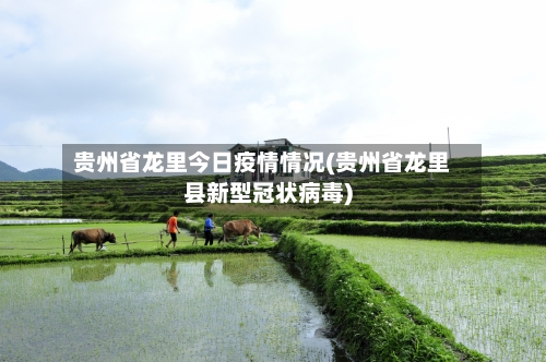 贵州省龙里今日疫情情况(贵州省龙里县新型冠状病毒)-第2张图片