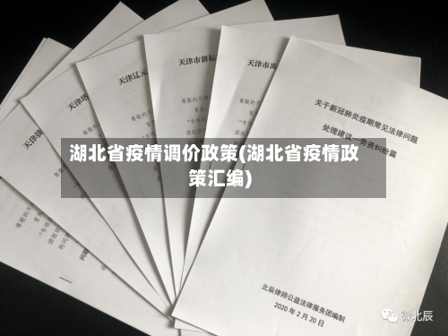 湖北省疫情调价政策(湖北省疫情政策汇编)-第3张图片