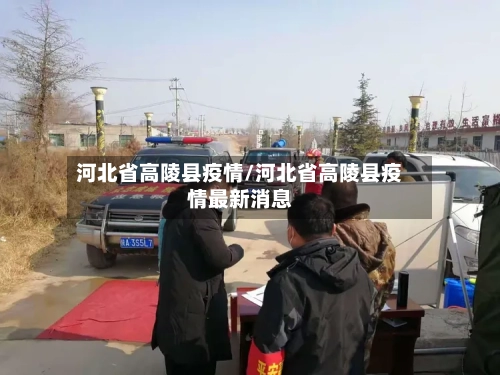 河北省高陵县疫情/河北省高陵县疫情最新消息-第3张图片