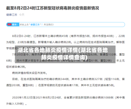湖北省各地肺炎疫情详情(湖北省各地肺炎疫情详情查询)-第3张图片