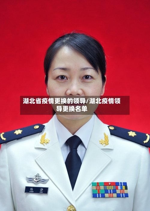 湖北省疫情更换的领导/湖北疫情领导更换名单-第3张图片