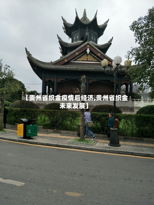 【贵州省织金疫情后经济,贵州省织金未来发展】-第3张图片