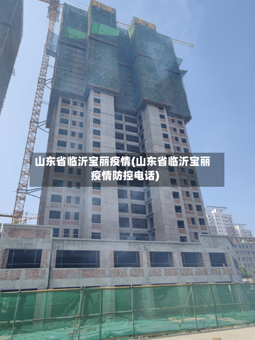 山东省临沂宝丽疫情(山东省临沂宝丽疫情防控电话)-第3张图片