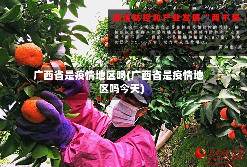 广西省是疫情地区吗(广西省是疫情地区吗今天)-第2张图片