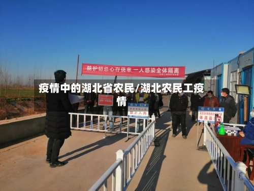 疫情中的湖北省农民/湖北农民工疫情-第2张图片