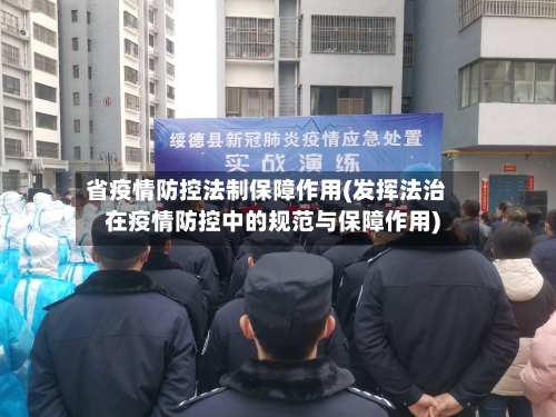 省疫情防控法制保障作用(发挥法治在疫情防控中的规范与保障作用)-第2张图片
