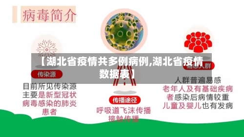 【湖北省疫情共多例病例,湖北省疫情数据表】-第2张图片