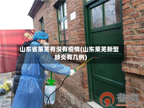 山东省莱芜有没有疫情(山东莱芜新型肺炎有几例)-第2张图片