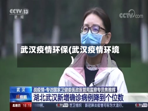 武汉疫情环保(武汉疫情环境)-第3张图片