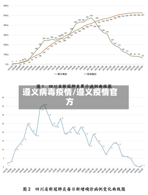 遵义病毒疫情/遵义疫情官方-第2张图片
