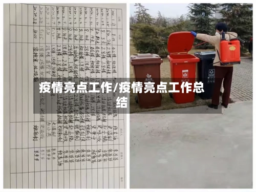 疫情亮点工作/疫情亮点工作总结-第2张图片
