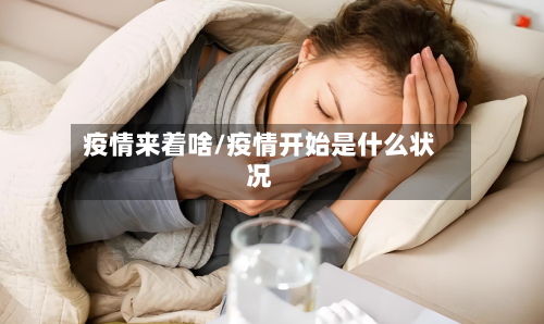 疫情来着啥/疫情开始是什么状况-第3张图片
