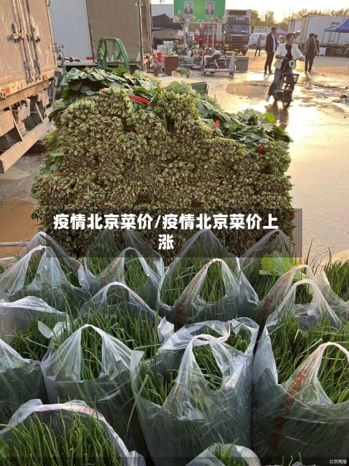 疫情北京菜价/疫情北京菜价上涨-第2张图片