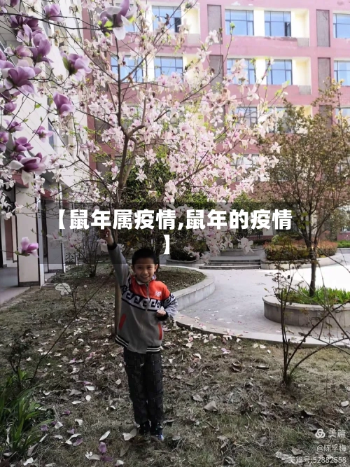 【鼠年属疫情,鼠年的疫情】-第2张图片