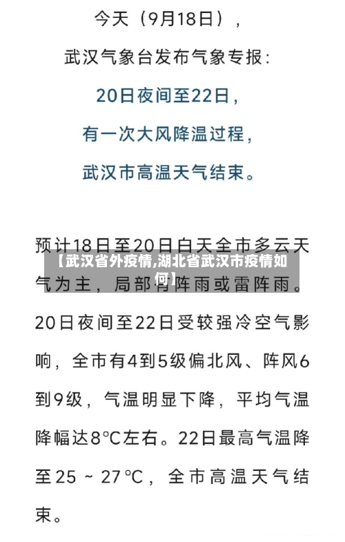 【武汉省外疫情,湖北省武汉市疫情如何】-第1张图片