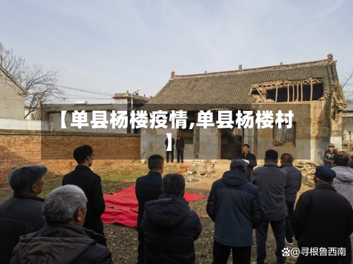 【单县杨楼疫情,单县杨楼村】-第3张图片